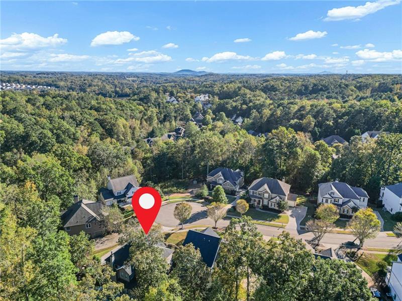 Aerial Neighborhood 3